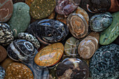 USA, Washington State, Seabeck. Close-up of wet beach stones