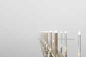 USA, Staat Washington, Seabeck. Jachthafengehweg im Nebel.
