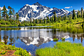 Picture Lake Evergreens Mount Shuksan Mount Baker Highway Snow Mountain Trees, Washington State, USA