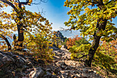 Landschaft am Vogelbergsteig bei Dürnstein in der Wachau, Niederösterreich, Österreich