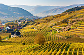 Dürnstein Abbey, Danube valley and vineyards near Dürnstein in the Wachau, Lower Austria, Austria