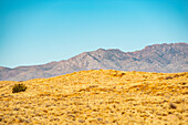 New Mexico landscape in the sun
