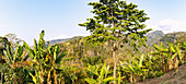 Ausblick auf Berglandschaft an der Rota do Cacau nahe dem Plantagendorf Roça Generosa auf der Insel São Tomé in Westafrika