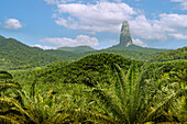 Pico Cão Grande and palm oil plantations in the south of Sao Tome island in West Africa