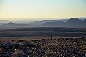 Namibia; Region Karas; Südnamibia; Canyon Nature Park West; bergige Landschaft im späten Nachmittagslicht; karge Schotterebene und Berge im Hintergrund