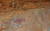 Namibia; Region of Erongo; Central Namibia; Namib Desert; Erongo Mountains; rock paintings