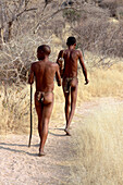 Namibia; Region Erongo; Zentralnamibia; San Living Museum; Buschmänner der San 