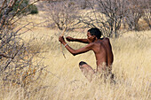 Namibia; Region of Erongo; Central Namibia; San Living Museum; Bushman hunting with bow and arrow