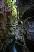 Gorge du Fier mit balkonartigem Plankenweg auf dem Menschen gehen, Gorge du Fier, Annecy, Haute-Savoie, Auvergne-Rhône-Alpes, Frankreich