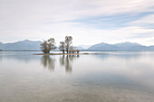 View of the Chiemsee with tree island in the foreground, Chiemsee, Bavaria, Germany, Europe