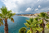 Palm trees on the seafront in front of the Promenade des Anglais in Nice, Provence, France