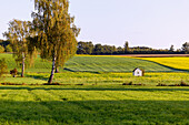 Herbststimmung mit Feldern im Morgenlicht bei Unterschwillach in Oberbayern in Deutschland