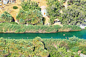 Blick auf Fluss Megalopotamos und Palmenwald Preveli, Rethymno, Kreta, griechische Inseln, Griechenland