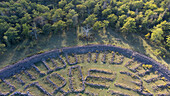 A bird's-eye view of the ruins of the Brug Ismantorp. Stone circle on forest clearing. Totoer tree in the background. Oland, Sweden.