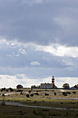 Närsholmen lighthouse from afar. Narshamn, Gotland, Sweden.