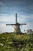 Windmills of Kindedijk in the Netherlands in summer with the blue sky in the background