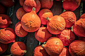 Lots of Hokkaido pumpkins in a wooden crate view from above