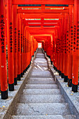 Berühmte Torii oder Tore des Eingangs zum Hie-Schrein in Tokio, Japan