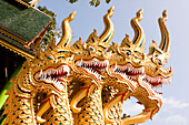 Thailand. Goldene Drachen in einem Tempel.