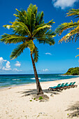Carambola Beach Resort beach, St. Croix, US Virgin Islands.