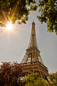 Eiffelturm umrahmt von Bäumen und Sonnendurchbruch in Paris, Frankreich.