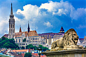 Kettenbrücke, Löwe. Matthiaskirche, Fischerbastei, Budapest, Ungarn