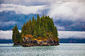 Prince William Sound, Alaska, Valdez, Insel, immergrüne Bäume, Herbst, Nebel