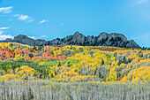 USA, Colorado, Gunnison National Forest, Herbstfärbung am Kebler Pass