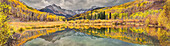 Mt. Snaffles und ein Meer aus goldenen Espenbäumen spiegeln sich im Herbst in einem großen Teich in den Colorado Rocky Mountains wider