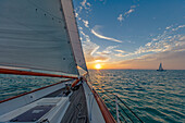 Sunset Segel auf dem Schoner America 2.0 in Key West, Florida, USA