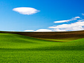 USA, Washington State, Palouse, Spring Wheat Field and Clouds