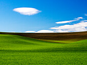 USA, Washington State, Palouse, Frühlingsweizenfeld und Wolken