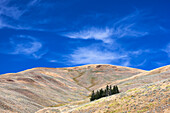 Yellowstone-Nationalpark, Lamar Valley. Schöne Wolken prägen den Himmel über dem Tal.