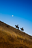 Two wranglers riding horses up a hill with full moon in background at blue hour