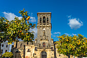 Orangenbäume und die Basilika Santa María de la Asunción in Arcos de la Frontera, Andalusien, Spanien
