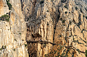 Klettersteig Caminito del Rey hoch in den Felsen bei  El Chorro, Andalusien, Spanien  