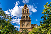 Glockenturm der Mezquita - Catedral de Córdoba in Cordoba, Andalusien, Spanien  