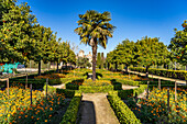 Gärten des Palastes, Alcázar de los Reyes Cristianos in Cordoba, Andalusien, Spanien  