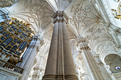 Korinthische Säulen im Innenraum der Kathedrale Santa María de la Encarnación in Granada, Andalusien, Spanien 