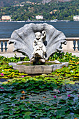 Water lily plants in the gardens of Villa Melzi, Bellagio, Como Lake, Lombardy, Italy