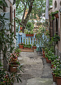 In the alleys of Muggia, Friuli Venezia Giulia, Italy.