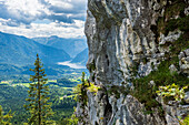 Felswand am Predigtstuhl bei Bad Goisern mit Blick auf den Hallstätter See und das Dachsteinmassiv, Salzkammergut, Oberösterreich, Österreich
