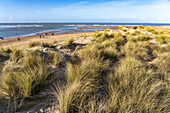 Beach of the Het Zwin nature reserve on the North Sea between Belgium and the Netherlands
