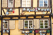 Fachwerkhaus dekoriert mit Giesskannen in der Altstadt von Colmar, Elsass, Frankreich 