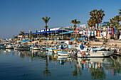Fischerboote und Ausflugsboote im Hafen von Agia Napa, Zypern, Europa 