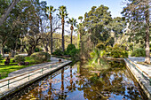 Teich im Stadtpark Nicosia Municipal Park, Nikosia, Zypern, Europa