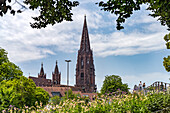 Blick vom Stadtgarten auf das Freiburger Münster, Freiburg im Breisgau, Schwarzwald, Baden-Württemberg, Deutschland