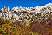 Herbstliche Gebirgslandschaft beim Durmitor Nationalpark,  Montenegro, Europa 