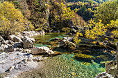 Herbstliche Landschaft und Mrtvica Fluss im Mrtvica-Canyon, Montenegro, Europa  