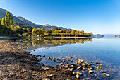 Lake Skadar near Donji Murici village, Montenegro, Europe